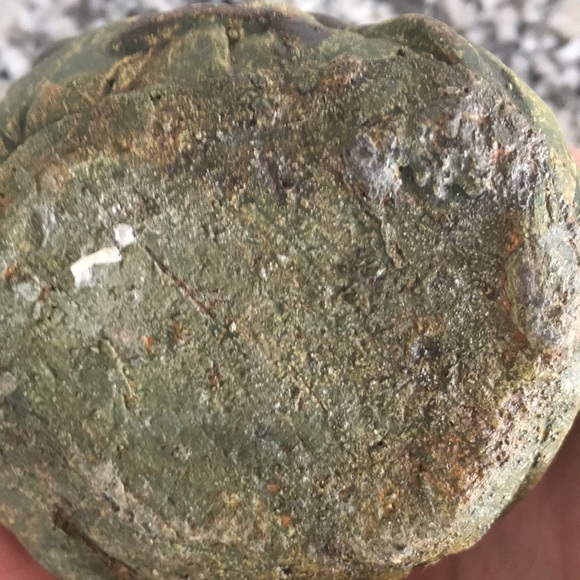 Resin Hedgehog Sleeping Wrapped in Leaves - Picture 7 of 12